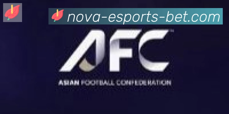 DOTA竞猜合作伙伴